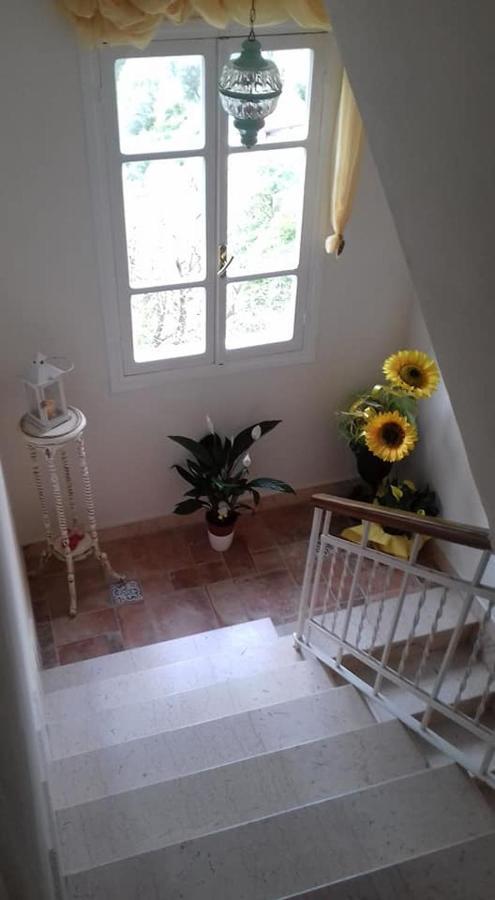 Bed and Breakfast Il Girasole ...At Andorus' House Erli Экстерьер фото